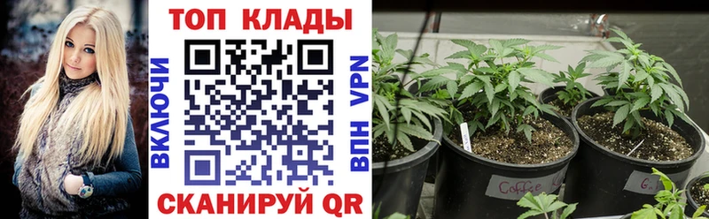 Где купить наркотики Джанкой MDMA  Кокаин  Вейп ТГК  АМФ  Галлюциногенные грибы  МЕФ  Бошки Шишки  СОЛЬ  Гашиш 