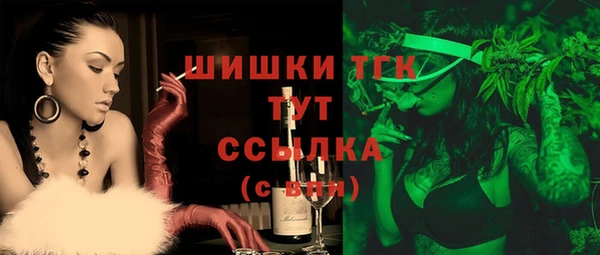 дживик Баксан