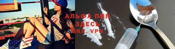 дживик Баксан