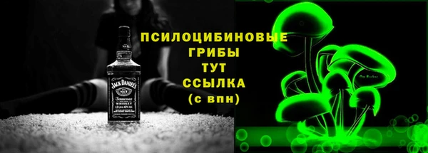 гашик Магадан