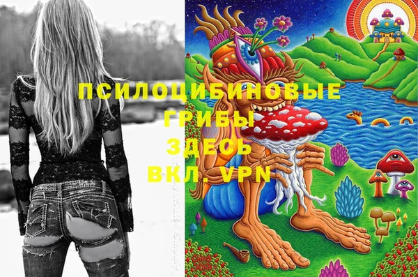 дживик Баксан