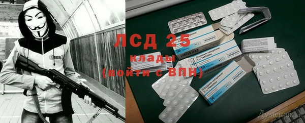 PSILOCYBIN Балахна