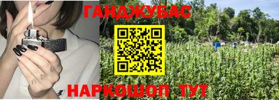 шишки Балашиха
