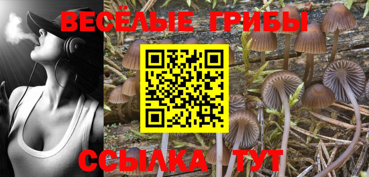 Галлюциногенные грибы Cubensis Джанкой