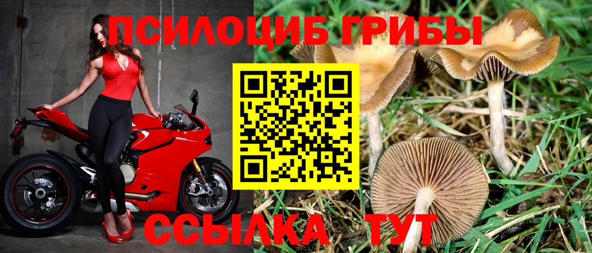 Галлюциногенные грибы MAGIC MUSHROOMS  Вход с VPN  закладки  Джанкой 