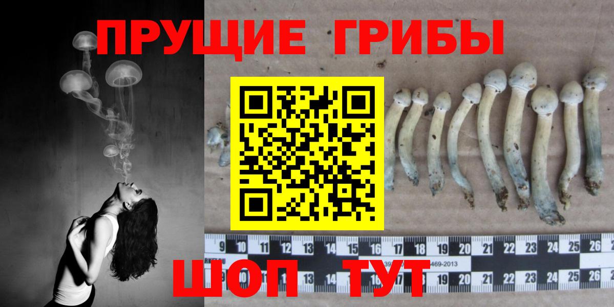 Псилоцибиновые грибы Magic Shrooms  Джанкой  Галлюциногенные грибы мицелий 